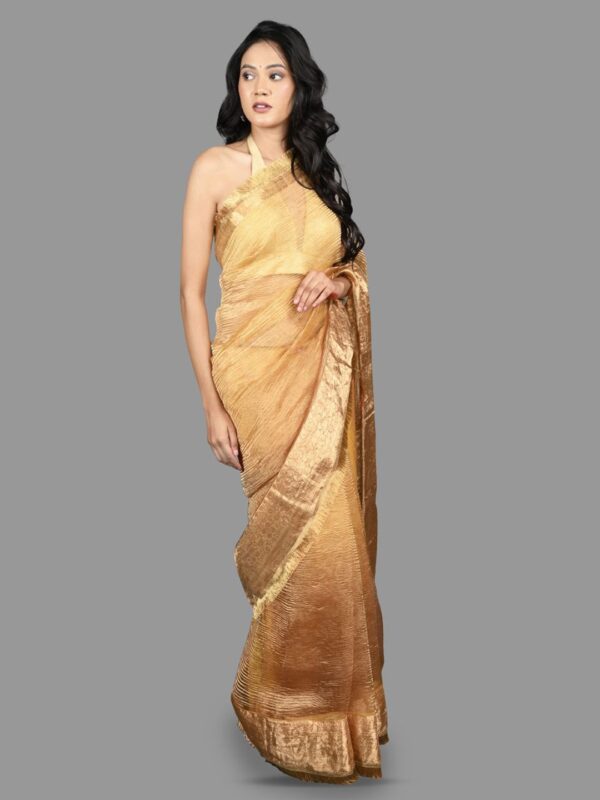 Zari Tissue Banarasi Saree - Image 2